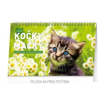 Kalendář PRESCO GROUP Stolní kalendář Kočky - Mačky CZ/SK