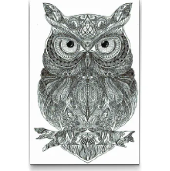 Diamantové malování Diamantové malování - Mandala sova Velikost: 40x60cm, Rámování: Pouze srolované plátno, Diamanty: Čtvercové