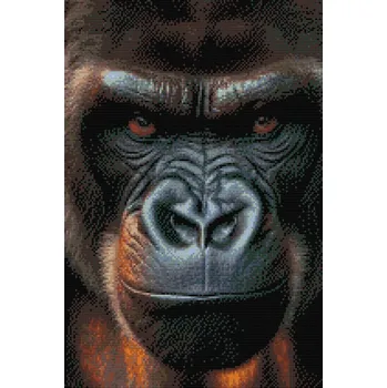 Diamantové malování Diamantové malování - Obličej gorily Velikost: 40x60cm, Rámování: Pouze srolované plátno, Diamanty: Čtvercové
