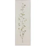 Obraz ALAMINOS EGLO 423037