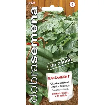 Semeno DOBRÁ SEMENA OKURKA SALÁTOVÁ ´BUSH CHAMPION F1´