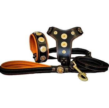 Obojek pro psa Postroj - Obojek - vodítko SET Bestia Collars Bijou oranžový Velikost: S