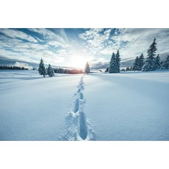 Plakát Plakát, Obraz - Winter Landscape, borchee