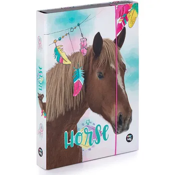 desky na sešit Box na sešity A4 Jumbo KARTON P+P - Kůň Romantic 1