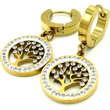 Náušnice Steel Jewelry NS231144 zlatá