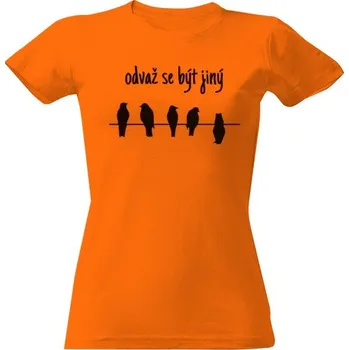 Tričko s potiskem Odvaž se být jiný pánské