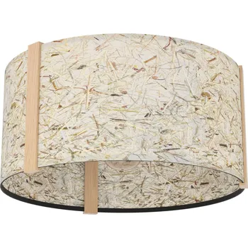 Stropní svítidlo HONTONGAS EGLO 390322