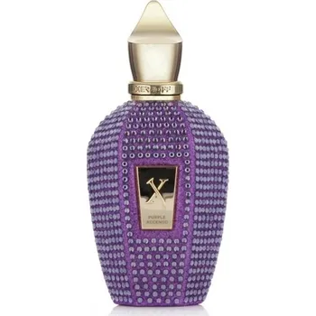 Xerjoff Xerjoff Purple Accento, Parfumovaná voda 100ml Pre všetkých Parfumovaná voda