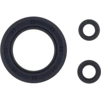 Těsnění pro motocykl Sada gufer motoru ATHENA KAWASAKI ER-6f rok 06-15