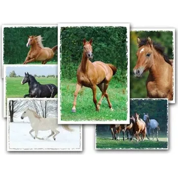 Pohlednice sr Z023 B UV