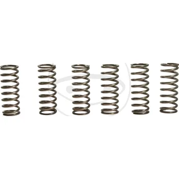 Sada spojkových pružin SUZUKI DL 650 V-Strom rok 04-24