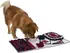 Hračka pro psa Trixie Dog Activity čichací koberec 70 x 47 cm 