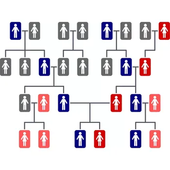 Diagnostický test Genetický test kořenů rodiny PLUS