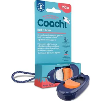 The Company of Animals Coachi…