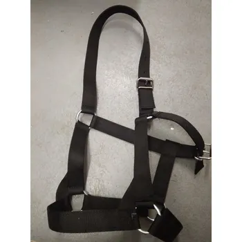 Sedlářská výroba Ohlávka pro chladnokrevníka Velikost: 4