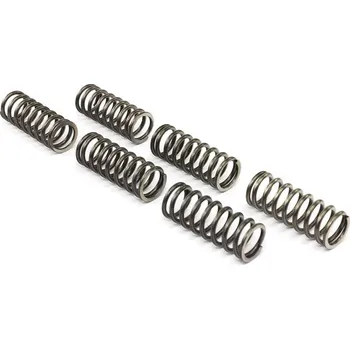 Sada spojkových pružin SUZUKI GSF 650 Bandit rok 05-16