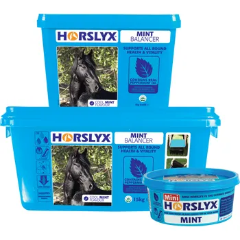 Pro koně Derby HORSLYX Mint Váha: 650g