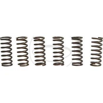 Sada spojkových pružin HONDA VF 750 C Magna rok 93-00