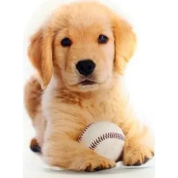 Dekorativní polštářek Lamps 58802 polštářek 36 x 20 cm štěně s míčkem