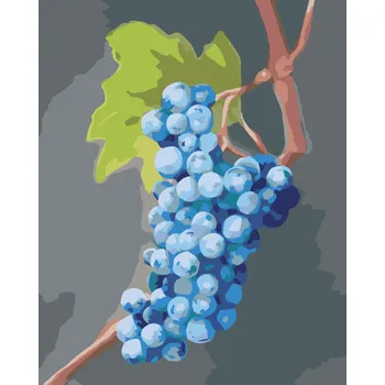 ZUTY Malování podle čísel - MODRÉ HROZNY (MYROSLAVA VOLOSCHUK) Rozměr: 80x100 cm, Rámování: vypnuté plátno na rám