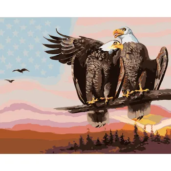 Hračka ZUTY Malování podle čísel - DVA ORLI (D. RUSTY RUST) Rozměr: 40x50 cm, Rámování: bez rámu a bez vypnutí plátna