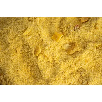 Sušené ovoce Lyofilizované mango prášek 100 g – bez přidaného cukru | Lyofio.cz