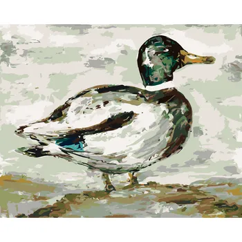 ZUTY Malování podle čísel - DIVOKÝ KAČER (HALEY BUSH) Rozměr: 40x50 cm, Rámování: bez rámu a bez vypnutí plátna