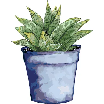 ZUTY Malování podle čísel - SUKULENT V MODRÉM KVĚTINÁČI (ALEXANDRIA GILBERT) Rozměr: 40x50 cm, Rámování: bez rámu a bez vypnutí plátna