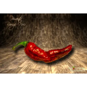 Semeno chilli-semena Pimenta Rouge Noir