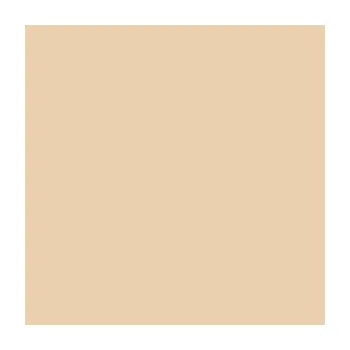 Polep vozidla Avery 542 Ivory š. 61,5 cm - Matná