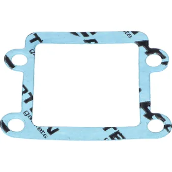 Těsnění pro motocykl OEM Standard Těsněn klapek, Minarelli vertical 49473