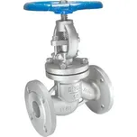 Ventil přírubový - VT-GLF - 1.4408: DN 125