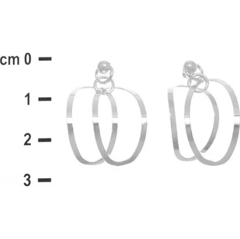 Náušnice Argento 60108 Stříbrné náušnice