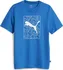 Pánské tričko PUMA Graphic Cat Tee 677184-47