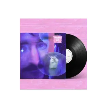 Zahraniční hudba Durch Dich Durch / Vinyl - Bachratten [LP]