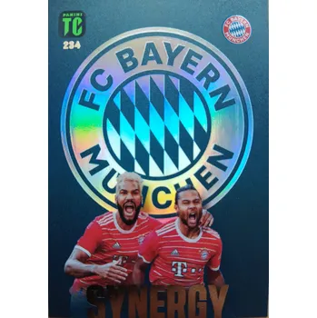 Sběratelská karetní hra Eric Maxim Choupo-Moting, Serge Gnabry