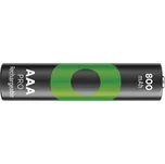 Baterie AAA (R03) nabíjecí 1,2V/800mAh GP Recyko Pro 4ks