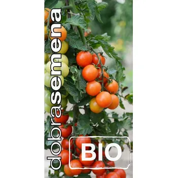 Semeno DOBRÁ SEMENA BIO RAJČE TYČKOVÉ RESIBELLA 10 S