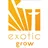 Exotic Grow