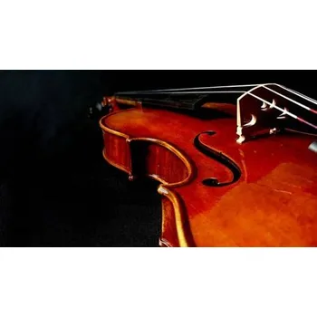 Smyčcový nástroj Rudolph RV-1544, Housle 4/4
