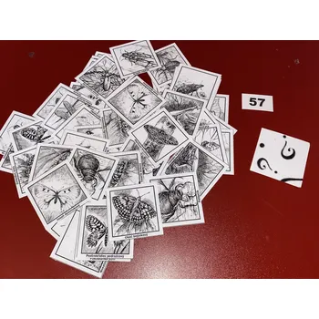 Pexeso HandMade by VeJa Velké pexeso vel.XL č.57 - ČB Hmyz (48kousků)