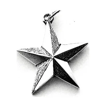 Šperk Stříbrný přívěsek námořní hvězda - DN43 (Stříbrná hvězda)