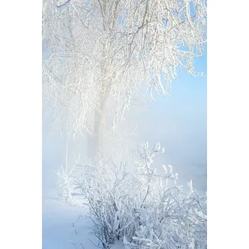Plakát Plakát, Obraz - Trees covered with rime, ekina