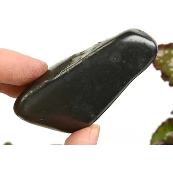 Přírodní kámen Hladký kámen šungit (Rusko) 51g