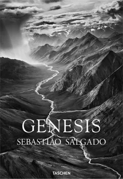 Umění Genesis - Sebastiao Salgado [EN] (2021, pevná)