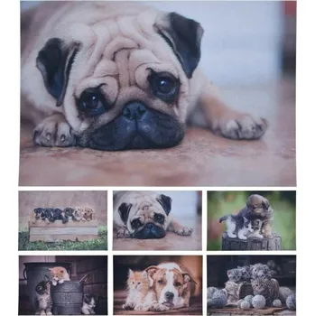 Rohožka HOMESTYLING Rohožka čistící 58X38cm pět koťat KO-GR1001000pkot