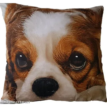 Dekorativní polštářek Povlak - povlaky 3D polštář Pejsek