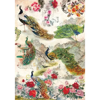 Umělecký papír Cadence Rýžový papír Cadence, A4 - Barevní pávi