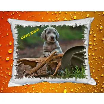 Dekorativní polštářek Polštářek pro myslivce č. 76 (MYSLIVECKÝ POLŠTÁŘ)