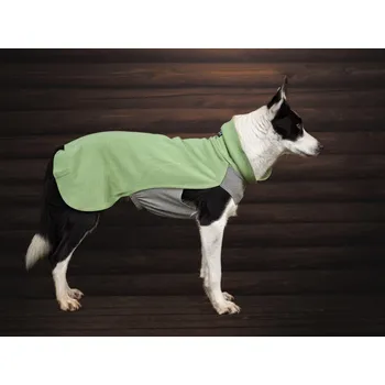 Obleček pro psa PAIKKA Regenerační zimní tričko GREEN Velikost: 25